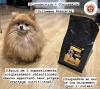 Croquettes Chien Adulte Buffle Italien 6kg SUPERFOOD