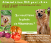 Alimentation BIO pour chiens | Bio Reds | 400g